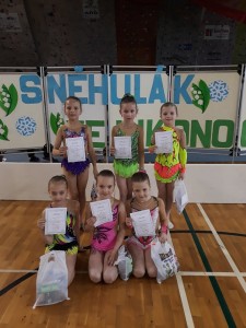 breclavsky-snehulak-2019.jpg